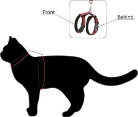 img 3 attached to 🐱 Lusaya Cat Leash, Adjustable Kitten Strap - Simple and Practical Design, Perfect for Adult Cats and Kittens in Spring, Purple, 4FT