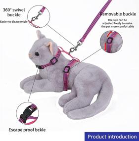 img 1 attached to 🐱 Lusaya Cat Leash, Adjustable Kitten Strap - Simple and Practical Design, Perfect for Adult Cats and Kittens in Spring, Purple, 4FT