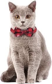 img 1 attached to 🔔 Faleela Breakaway Christmas Cat Collar with Bells - Set of 2 Festive Cat Collars with Bells and Bandana. Adjustable for Cats and Small Dogs - Pet Accessories