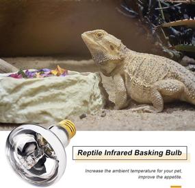 img 1 attached to 🦎 2-Pack Reptile Heat Lamp Full Spectrum UVA Basking Spot Lamp with Soft White Light - Ideal Sun Lamp for Tortoise, Lizard, Bearded Dragon, Snake