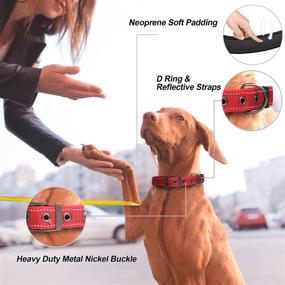 img 3 attached to 🐶 PetiFine Heavy Duty Dog Collar: Adjustable, Soft Neoprene Padded Collar with Metal Buckle for Small, Medium, and Large Dogs