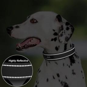 img 1 attached to 🐶 PetiFine Heavy Duty Dog Collar: Adjustable, Soft Neoprene Padded Collar with Metal Buckle for Small, Medium, and Large Dogs