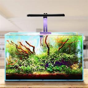 img 3 attached to 🐠 YISITONG LED Aquarium Light Smart APP Control Full Spectrum Fish Tank Light, 24/7 Sunrise-Daylight-Moonlight, DIY Mode, Adjustable RGB LEDs Fish Tank Lamp