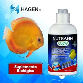 img 1 attached to Nutrafin Biological Filter Supplement 16 9 Ounce