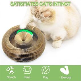 img 3 attached to 🐈 Cat Scratching Board with Toy Bell Ball and Catnip - Magic Organ Cat Scratcher Pad for Hours of Fun & Entertainment