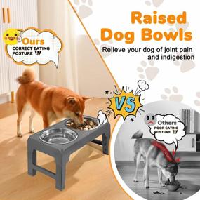 img 2 attached to URPOWER Elevated Dog Bowls 4 Height Adjustable Raised Dog Bowl With 2 Stainless Steel Dog Food Bowls Non-Slip Dog Bowl Stand Adjusts To 3.2”, 8.7”, 10.2”, 11.8” For Small Medium Large Dogs And Pets