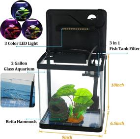 img 3 attached to 🐠 Self-Cleaning Glass Betta Fish Tank - 2 Gallon Small Aquarium Starter Kit for Desktop Room Decor with LED Light Decorations & Whisper Filters Water Pump