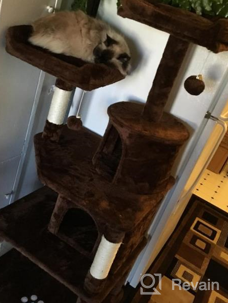 img 1 attached to 🐱 Ultimate Cat Playground: BEWISHOME Cat Tree with Scratching Posts, Condos, Perches, Balls, Hammock – Brown MMJ01Z review by John Douglas