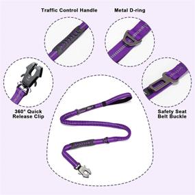 img 2 attached to 🐕 Raipult Heavy Duty Elastic Bungee Dog Leash, 4-6FT Easy Walk Leash for Shock Absorption, Anti-Pull Training Leash with Car Seatbelt Attachment &amp; Dual Handles, Purple - Ideal for Medium to Large Dogs