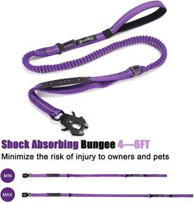 img 1 attached to 🐕 Raipult Heavy Duty Elastic Bungee Dog Leash, 4-6FT Easy Walk Leash for Shock Absorption, Anti-Pull Training Leash with Car Seatbelt Attachment &amp; Dual Handles, Purple - Ideal for Medium to Large Dogs