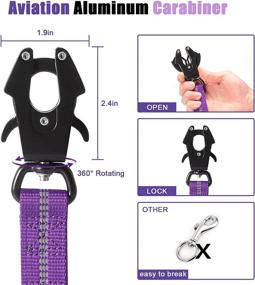 img 3 attached to 🐕 Raipult Heavy Duty Elastic Bungee Dog Leash, 4-6FT Easy Walk Leash for Shock Absorption, Anti-Pull Training Leash with Car Seatbelt Attachment &amp; Dual Handles, Purple - Ideal for Medium to Large Dogs