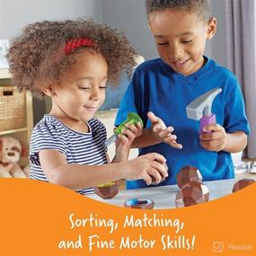 img 3 attached to Rock and Gem Surprise Sorting, Matching, and Counting Activity Set - Early STEM Learning Resources for Kids, 19 Pieces, Ages 3+