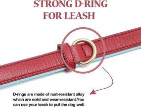 img 1 attached to 🐶 Linkfun 2 Pack Leather Dog Collar: Classic Soft Padded Breathable Waterproof Collars for Small Medium Large Dogs