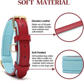 img 3 attached to 🐶 Linkfun 2 Pack Leather Dog Collar: Classic Soft Padded Breathable Waterproof Collars for Small Medium Large Dogs