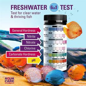 img 3 attached to 🐠 6 in 1 Freshwater Aquarium Test Strips - Fish Tank Test Kit for pH Nitrite Nitrate Chlorine GH & KH - Easy to Read Wide Strips & Full Water Testing Guide - 64 Ct