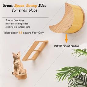 img 2 attached to Solid Wood Wall-Mounted Cat Shelf Set with Hammock, Climbing Shelves, and Perches for Indoor Cat Activity - 3pcs Wall Furniture Steps