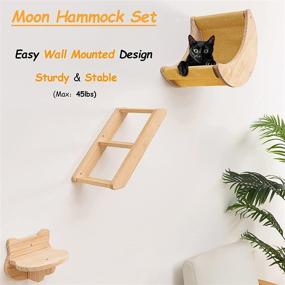 img 3 attached to Solid Wood Wall-Mounted Cat Shelf Set with Hammock, Climbing Shelves, and Perches for Indoor Cat Activity - 3pcs Wall Furniture Steps