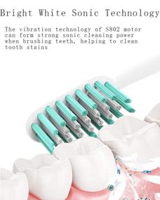 img 1 attached to Revolutionize Your Dental Care with HKF HO KI Rechargeable Toothbrush