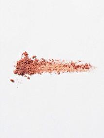 img 3 attached to Piciberry Berryshadow(Daily Camel), Shinny And Bright Soft Pearl Powder Pencil Eyeshadow, Shimmer, Glitter, Highlighter, Long Lasting Formula