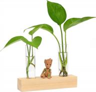 vintage wooden plant propagation station with glass tubes for home and office decor logo