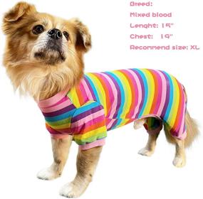 img 1 attached to 🐶 TONY HOBY Dog Pajamas: Rainbow Stripe 4 Legged Jumpsuit Onesies for Small Medium Dogs in Pink (M)