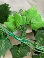 img 1 attached to Artificial Ivy Leaf Plant Garland - 12 Strands, 91 Feet - Perfect For Home, Kitchen, Garden, Office, Wedding, And Wall Decor review by Marco Huff