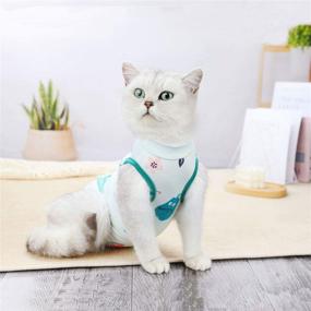 img 1 attached to 🐾 TAOZUA Cat Recovery Suit: E-Collar Alternative After Surgery, Anti-Licking Abdominal Wound & Skin Disease Treatment for Cats/Dogs