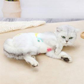 img 2 attached to 🐾 TAOZUA Cat Recovery Suit: E-Collar Alternative After Surgery, Anti-Licking Abdominal Wound & Skin Disease Treatment for Cats/Dogs