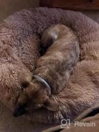 img 1 attached to Ultimate Comfort With PUPPBUDD'S Self-Warming Faux Fur Dog Bed - Perfect For Small Dogs Up To 35Lbs review by Aaron Masek