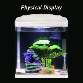 img 2 attached to 🐠 Self Cleaning Betta Fish Tank Starter Kit - 2 Gallon with LED Light, Whisper Filters, Water Pump, Decorations, and Betta Hammock