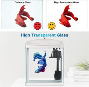 img 1 attached to 🐠 Self Cleaning Betta Fish Tank Starter Kit - 2 Gallon with LED Light, Whisper Filters, Water Pump, Decorations, and Betta Hammock