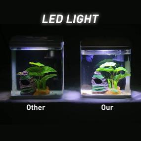 img 3 attached to 🐠 Self Cleaning Betta Fish Tank Starter Kit - 2 Gallon with LED Light, Whisper Filters, Water Pump, Decorations, and Betta Hammock