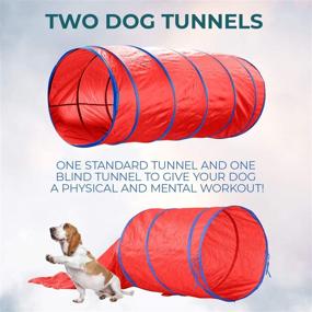 img 3 attached to 🐕 CHEERING PET Премиум комплект для тренировки собак Agility - 5 предметов набора для забавной тренировки собак, туннель, прыжок через преграду, кольцо, плетение столбов - удобный чехол для переноски для тренировки собак Agility как в помещении, так и на открытом воздухе.
