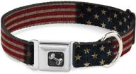 buckle down seatbelt dog collar dogs -- training & behavior aids logo