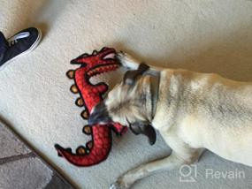 img 8 attached to 🦖 Ultimate Tuffiness Unleashed: Dinosaur Destructosaurus Soft Dog Toy - Built Durable, Strong, and Tough! Try interactive play with Tug, Toss & Fetch. Machine Washable, Floats too!