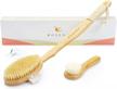 rejuvenate skin with dry brushing - 100% natural boar bristles & detachable handle for shower back scrubbing and lymphatic drainage to reduce cellulite. logo