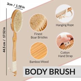 img 1 attached to Rejuvenate Skin With Dry Brushing - 100% Natural Boar Bristles & Detachable Handle For Shower Back Scrubbing And Lymphatic Drainage To Reduce Cellulite.