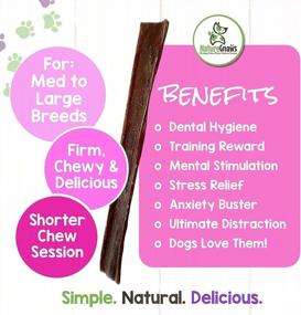 img 1 attached to Premium Natural Beef Gullet Sticks For Large Dogs - Nature Gnaws Beef Jerky Chews - Simple Single Ingredient Dog Chew Treats - Rawhide Free - 9-10 Inch