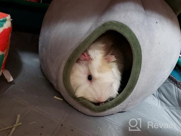 img 1 attached to 🏡 Cozy and Warm Shelter: EONMIR Guinea Pig House, Hamster Hedgehog Winter Nest review by Adam Boudreau