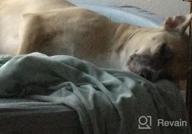 картинка 1 прикреплена к отзыву KOPEKS Deluxe Orthopedic Memory Foam Round Sofa Lounge Dog Bed - Jumbo XL - Brown, Model:Round от Herve Latreche