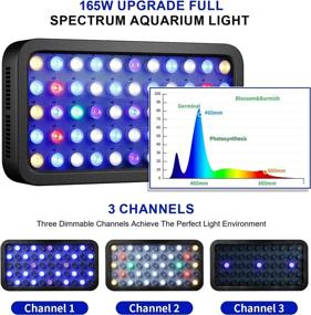 img 2 attached to 🐠 Advanced Smart-APP Controlled 165W Aquarium Light: Dimmable Full Spectrum LED Coral Reef Light for Saltwater and Freshwater Fish Tank Setup