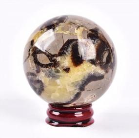 img 4 attached to Dragon Septarian Stone Crystal Sphere With Wooden Base: A Beautiful And Natural Decorative Piece