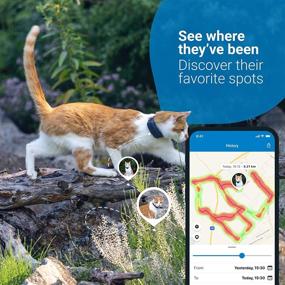 img 2 attached to 🐈 Tractive Waterproof GPS Cat Tracker - Track Location & Activity Anywhere with Unlimited Range (Dark Blue)