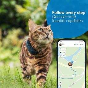 img 3 attached to 🐈 Tractive Waterproof GPS Cat Tracker - Track Location & Activity Anywhere with Unlimited Range (Dark Blue)