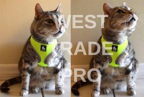 img 3 attached to Multi Colored Lockable Harness Adjustable Weather Cats