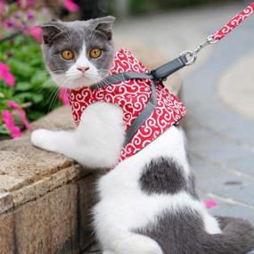 img 1 attached to Adnikia Floral Dog Cat Harness and Leash Set: Escape Proof Vest for Kittens & Puppies, No-Pull Design with Padded Handle Leash - Adjustable Cat Jacket for Stylish Pets