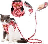 adnikia floral dog cat harness and leash set: escape proof vest for kittens & puppies, no-pull design with padded handle leash - adjustable cat jacket for stylish pets logo