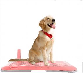 img 4 attached to AnRui Pink Dog Training Pads - Mesh Grate Puppy Toilet Holder With Tray For Indoor/Outdoor Use - Ideal For Potty Training, Dog Litter Box, And Pet Trainer