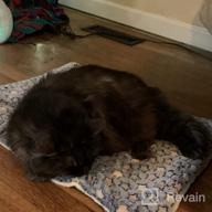 картинка 1 прикреплена к отзыву Пушистое фланелевое одеяло премиум-класса с мягкой и теплой подушкой для маленьких собак и кошек - Blue Stars Design от Paul Walters