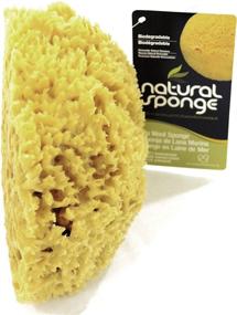 img 1 attached to Natural Sea Sponge 7 Inch Wool